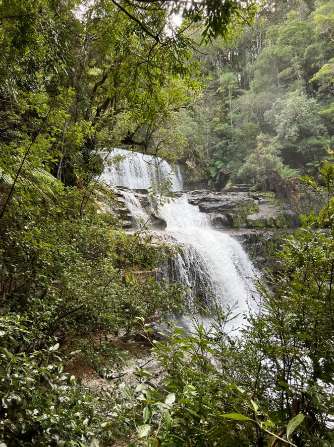 Liffey Falls Liffey Falls